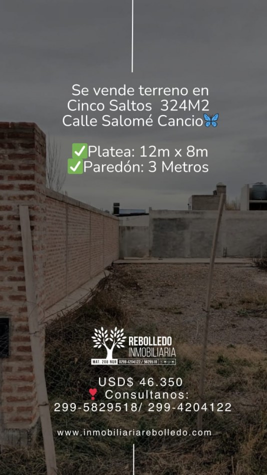 Se vende Hermoso Terreno en Cinco Saltos, cerrado con Paredon de 3 metros calle Salome Cencio 
